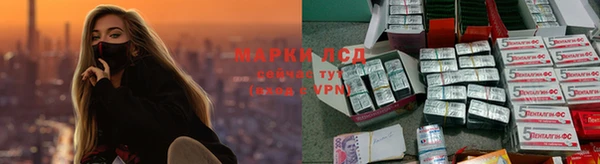 сатива Карталы