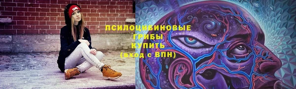 стафф Кинешма