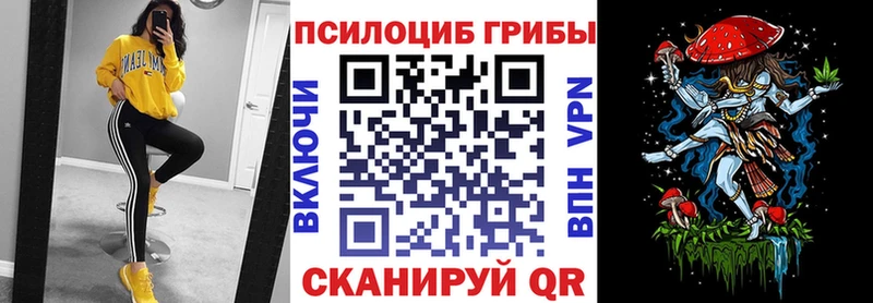 Галлюциногенные грибы Psilocybe сколько стоит Ладушкин